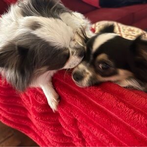 Meet your Posher, Catrice